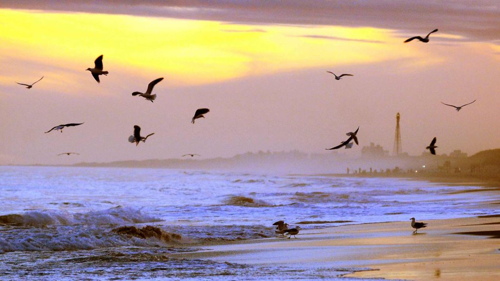 Propiedades Monte Hermoso